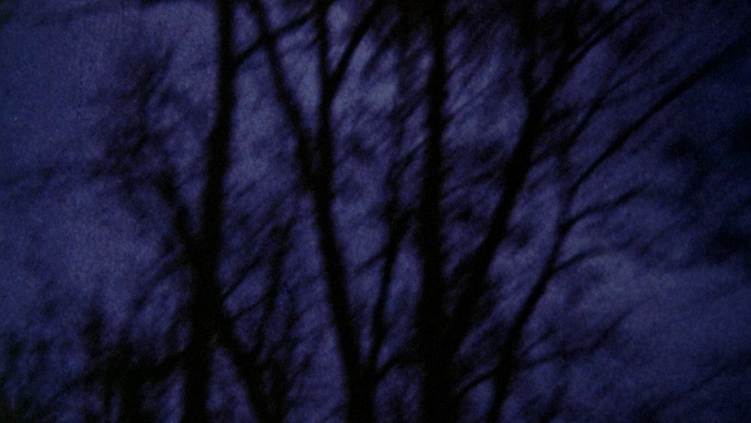 Anticipation of the Night