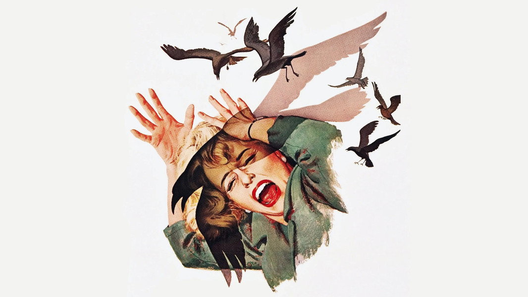 The Birds