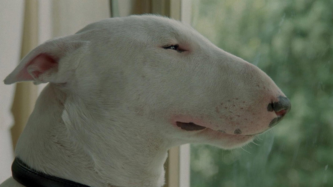 Baxter