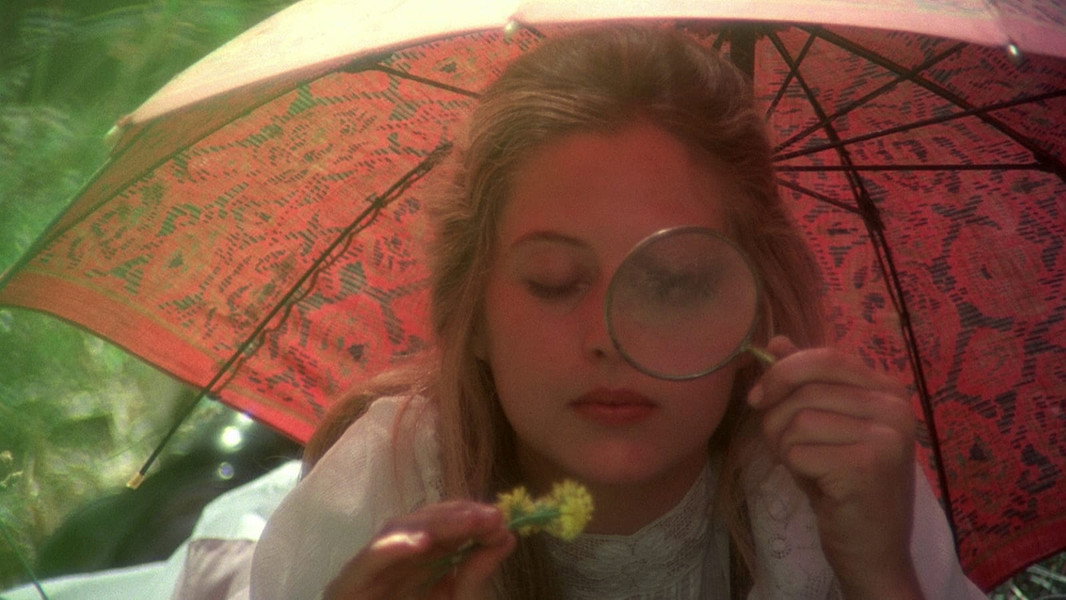 Picnic at Hanging Rock