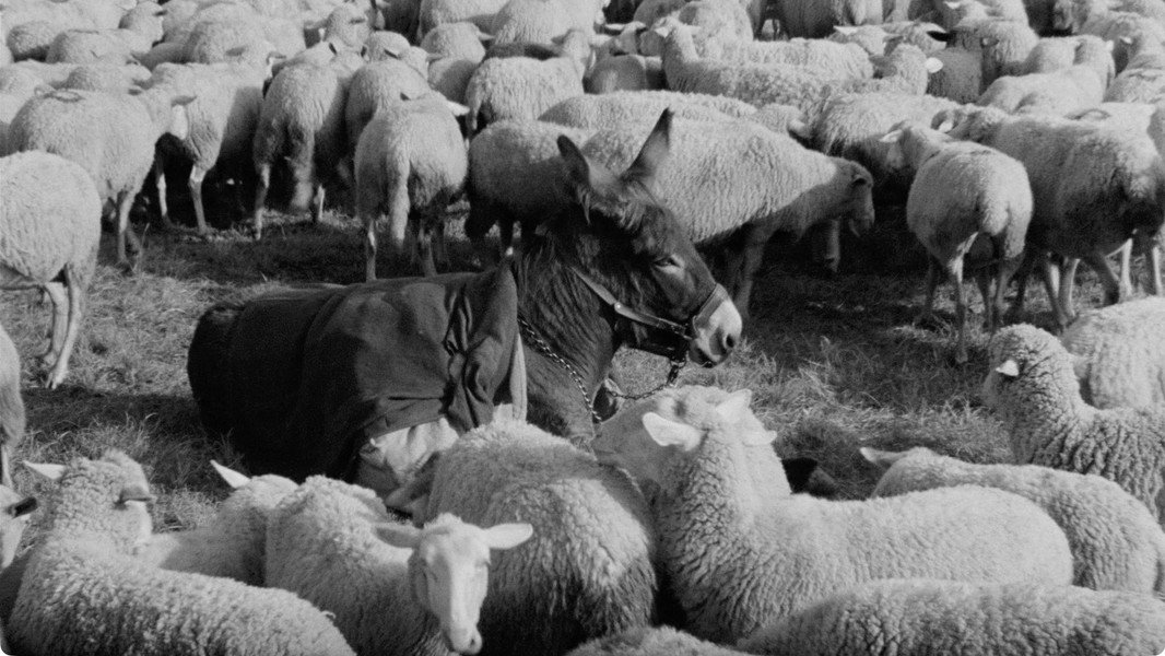 Au Hasard Balthazar