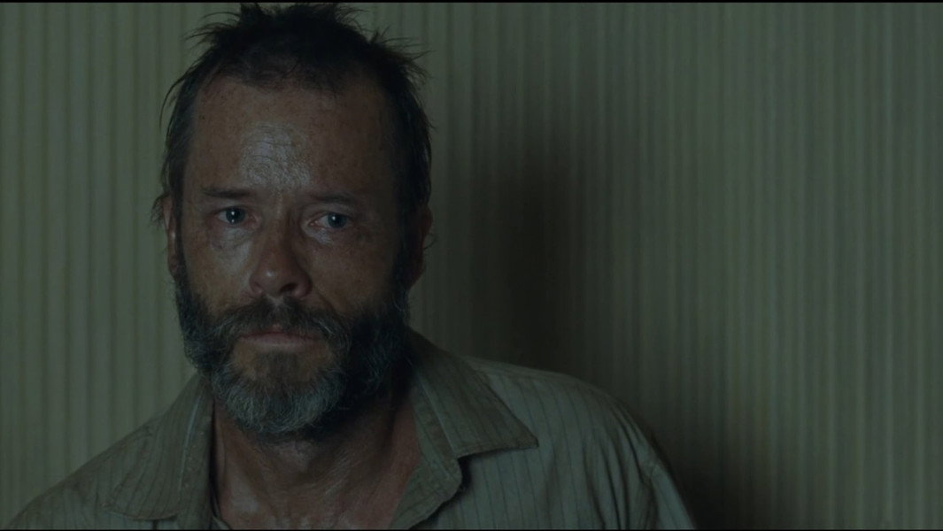 The Rover