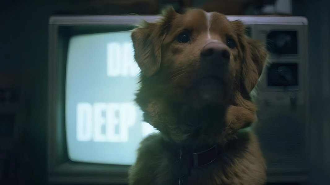 Good Boy