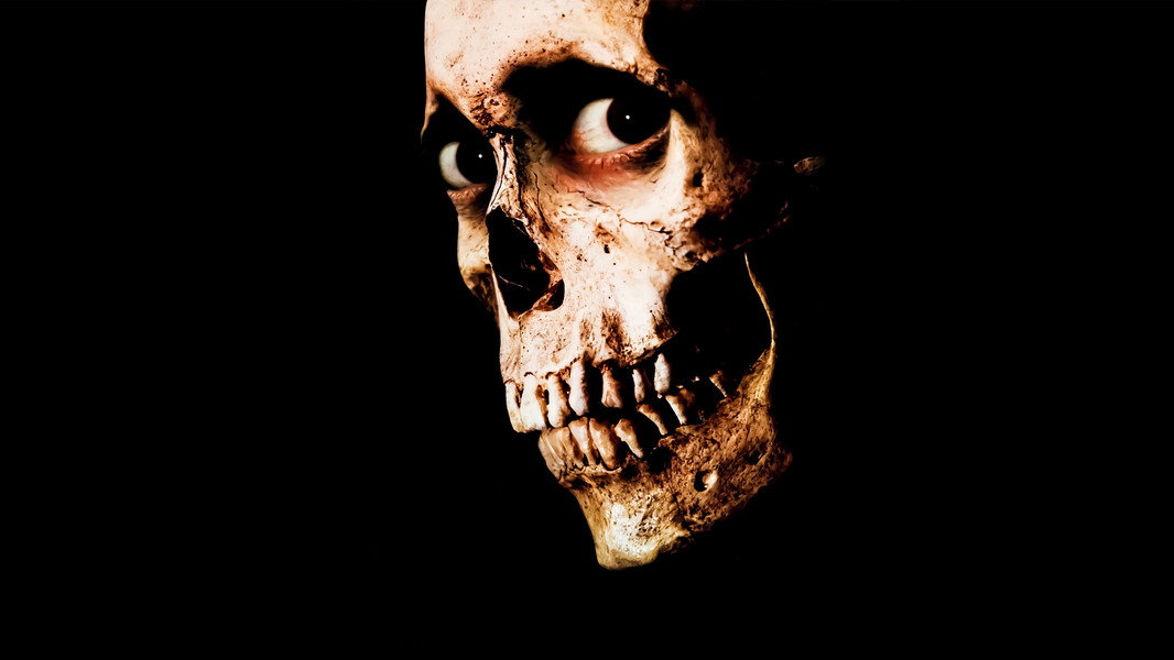 Evil Dead II