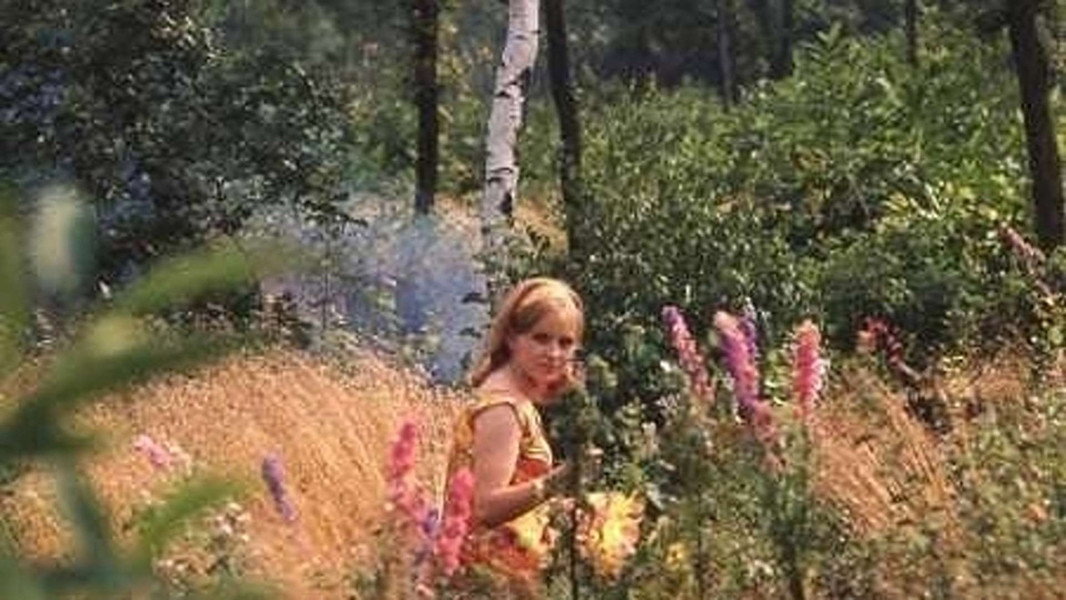 Le Bonheur