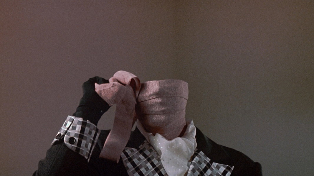 Memoirs of an Invisible Man