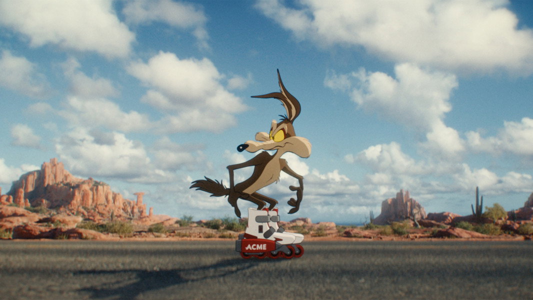 Coyote vs ACME