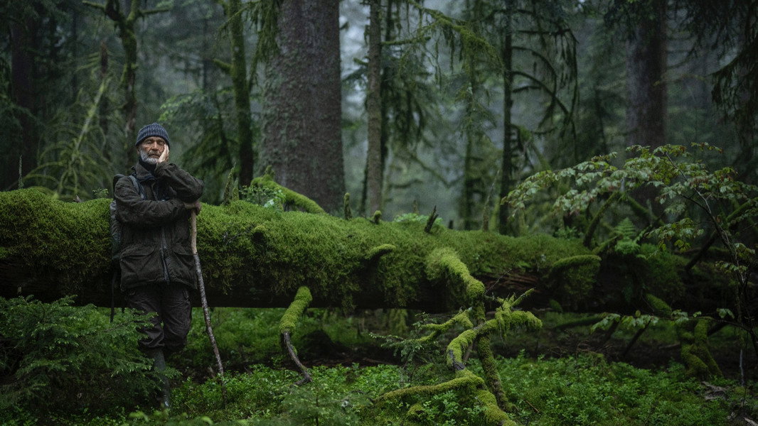 Whispers in the Woods