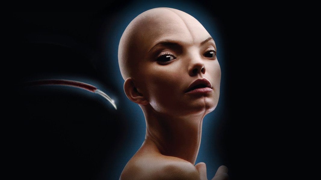 Splice