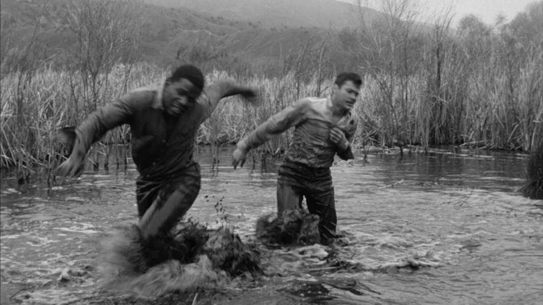 The Defiant Ones