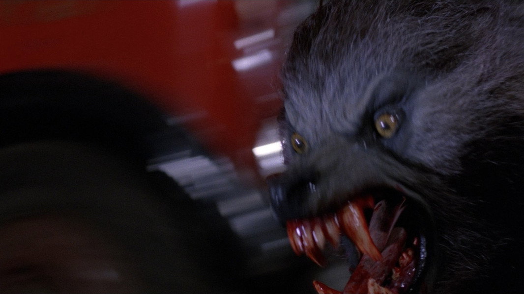 An American Werewolf in London