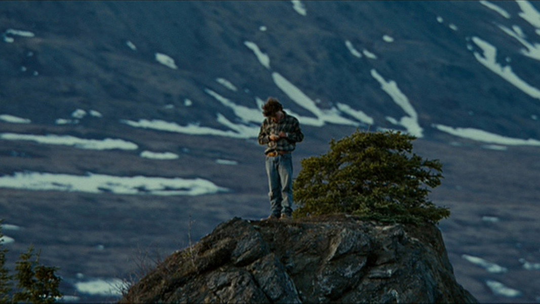 Into the Wild