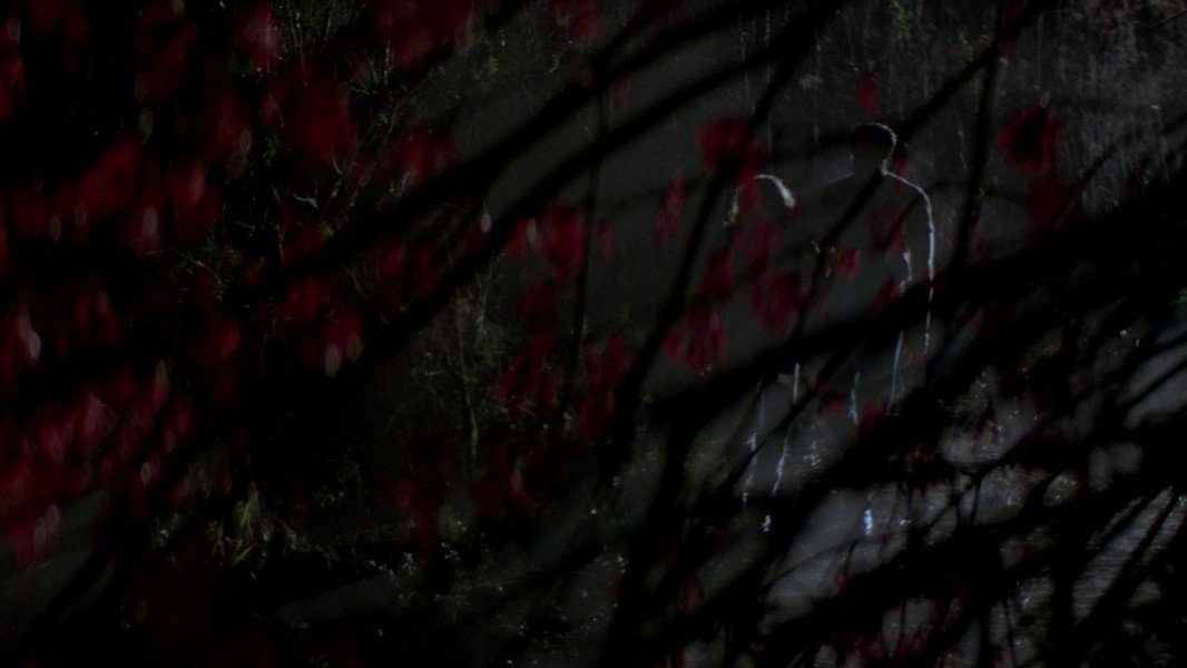 Body Snatchers