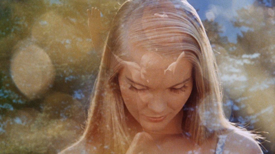 The Swimmer