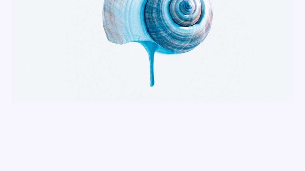 The Blue Trail