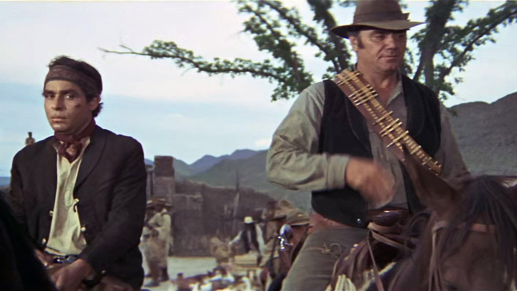 The Wild Bunch