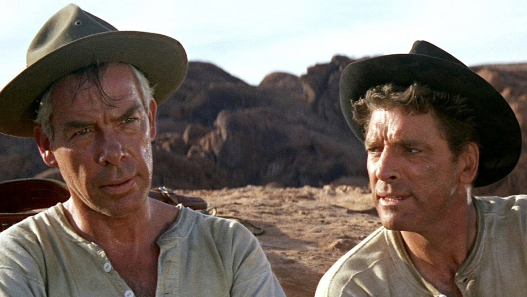 The Professionals