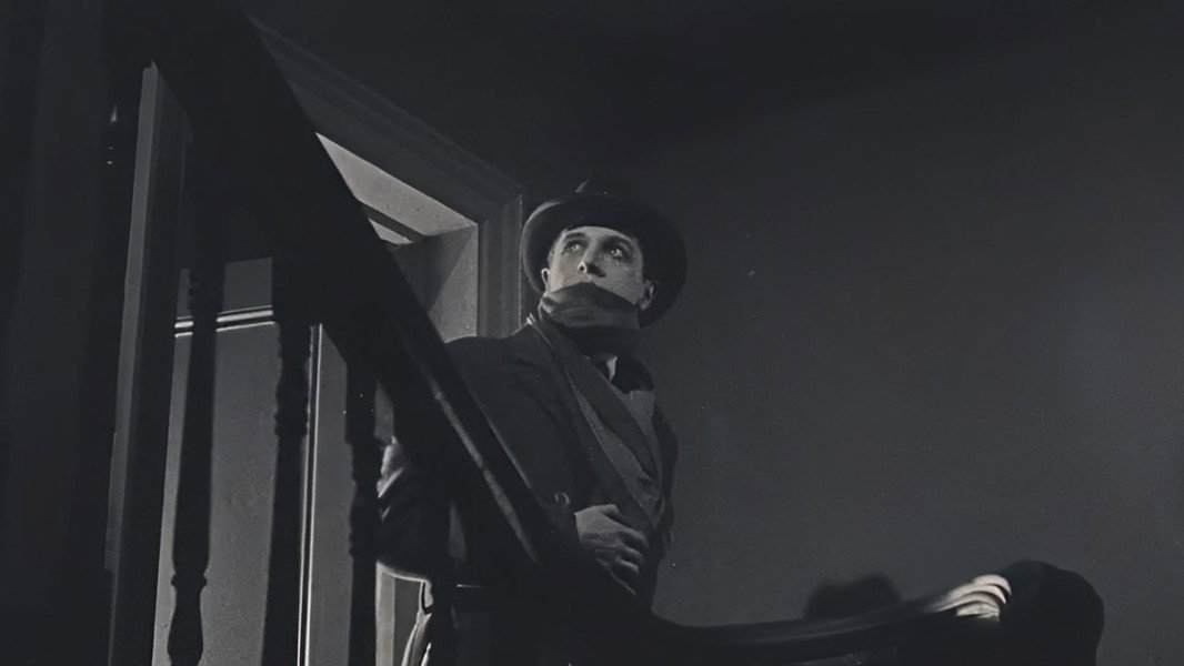 The Lodger: A Story of the London Fog