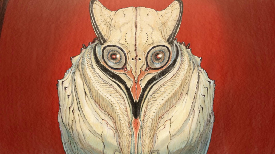 Puparia