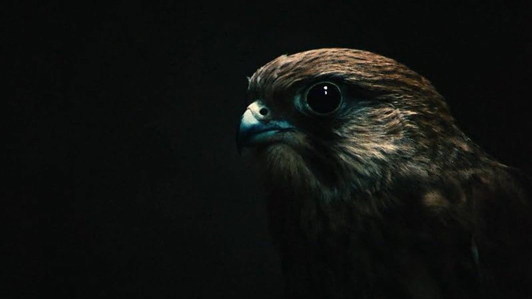Kes