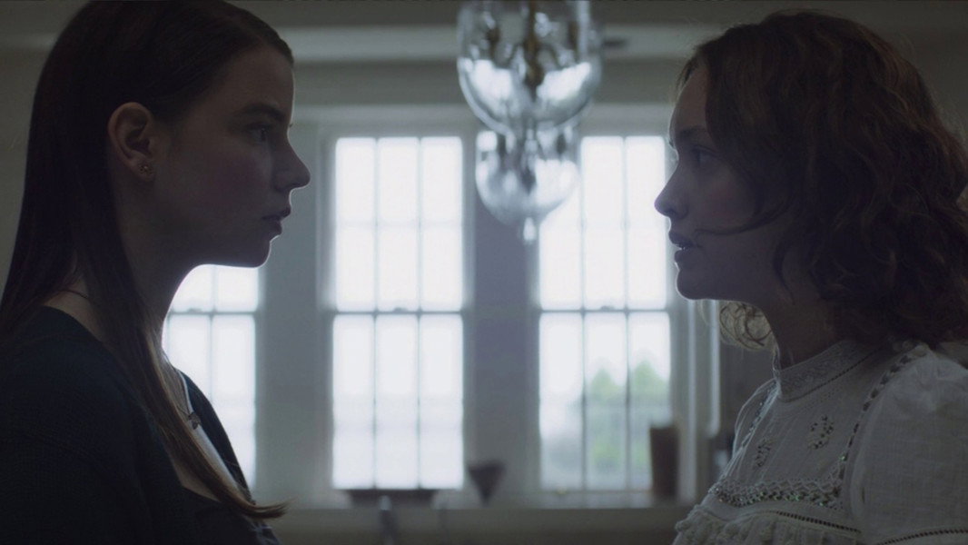 Thoroughbreds