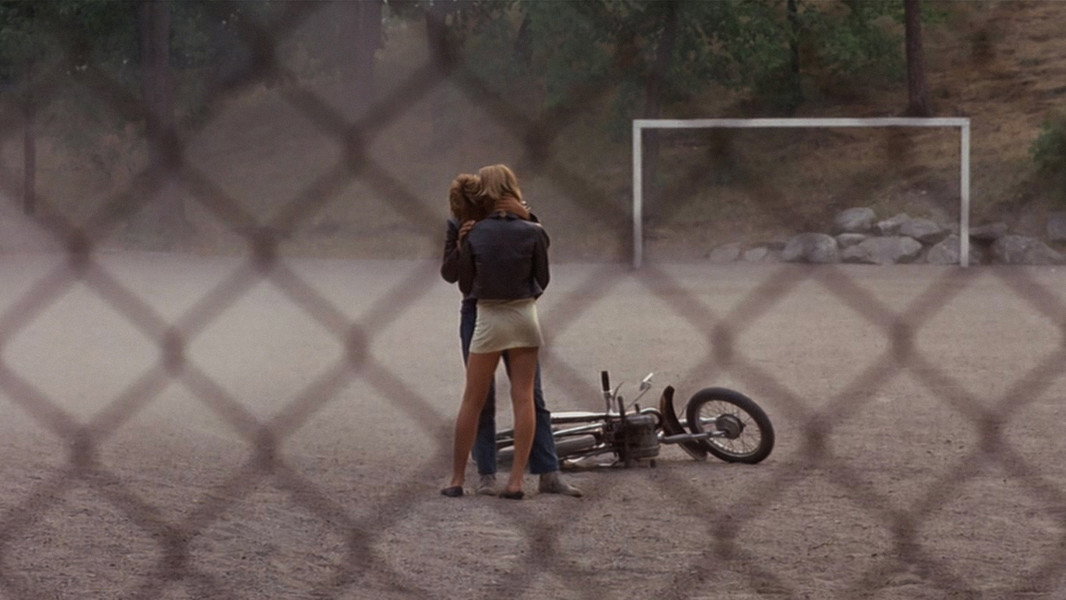 A Swedish Love Story