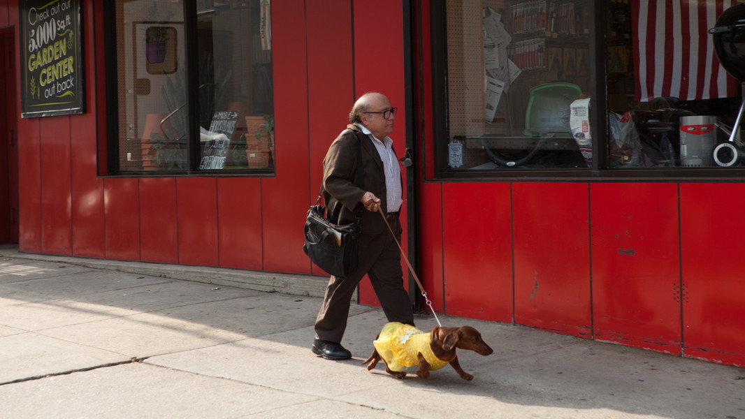 Wiener-Dog