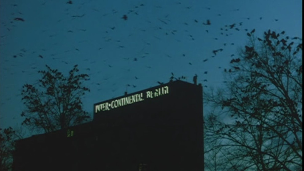 Germany Year 90 Nine Zero