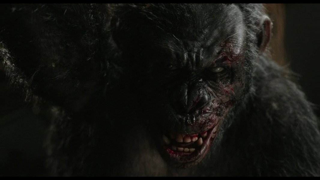 Dawn of the Planet of the Apes