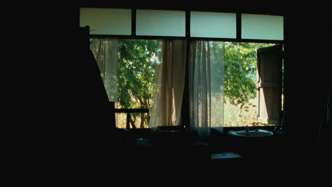 Uncle Boonmee Who Can Recall His Past Lives