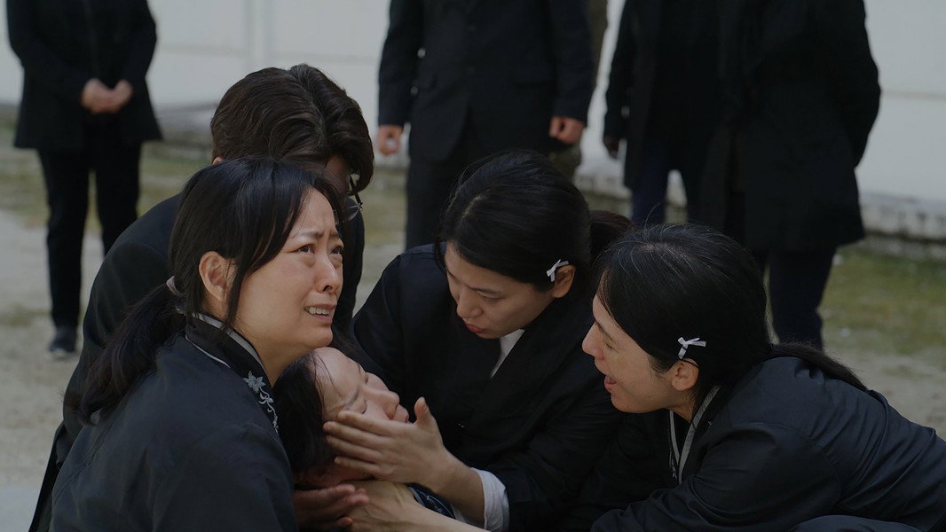 The Lee Families