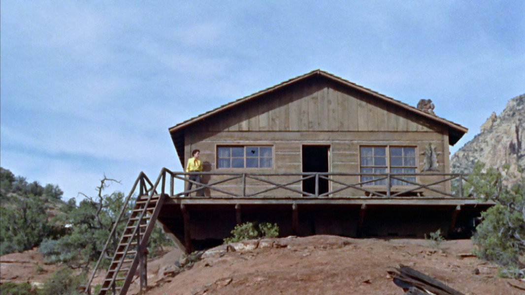 Johnny Guitar