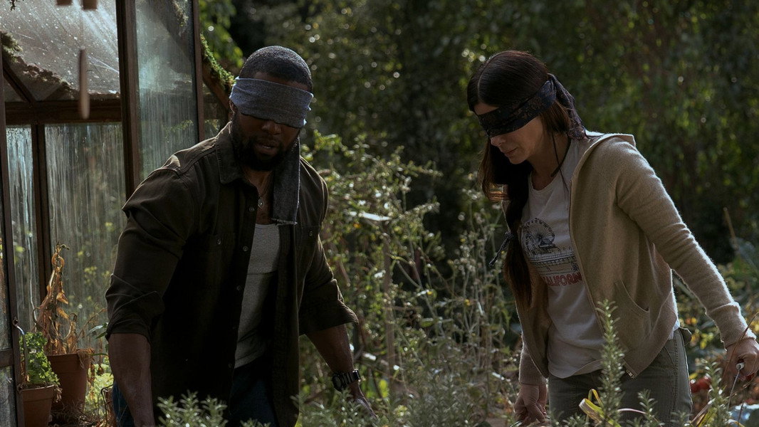 Bird Box