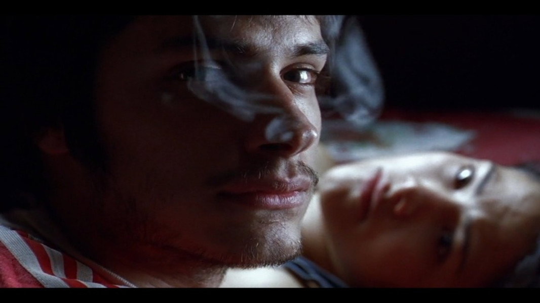 Amores Perros