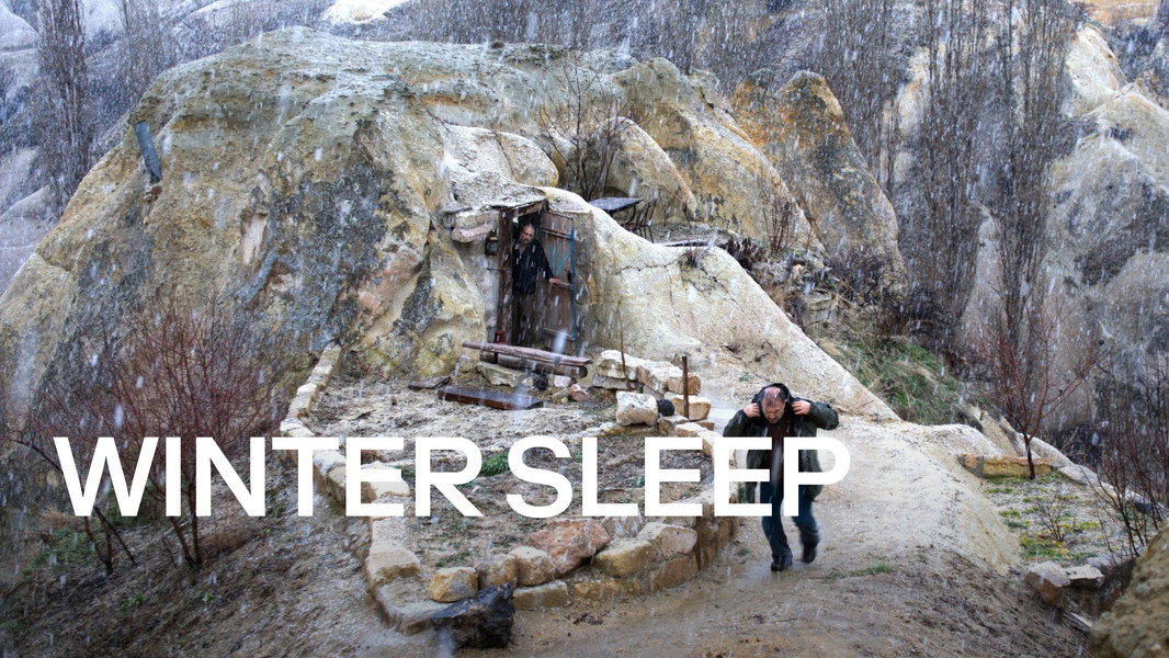 Winter Sleep