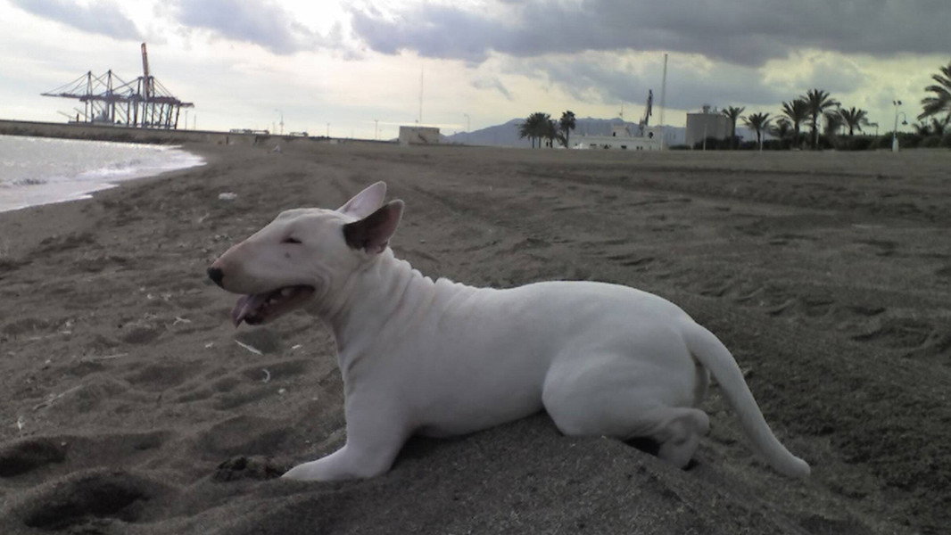Baxter