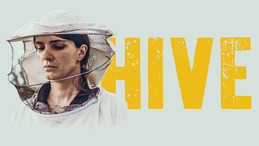 Hive