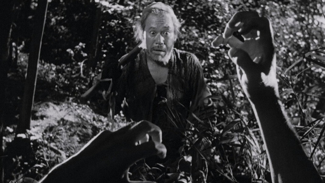 Rashomon