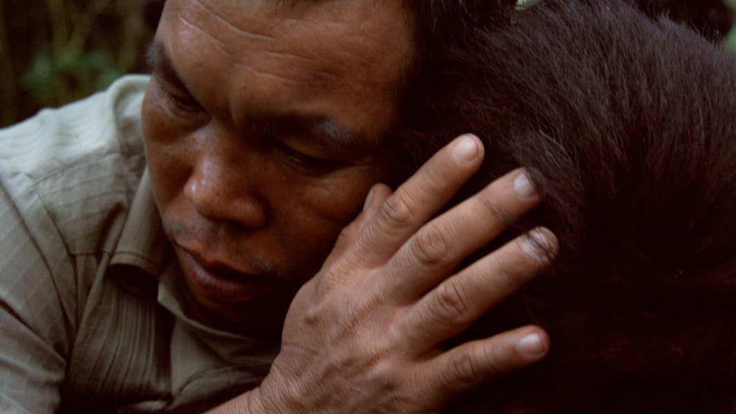 Uncle Boonmee Who Can Recall His Past Lives