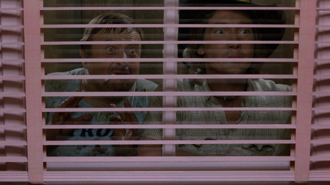 Beyond the Valley of the Dolls
