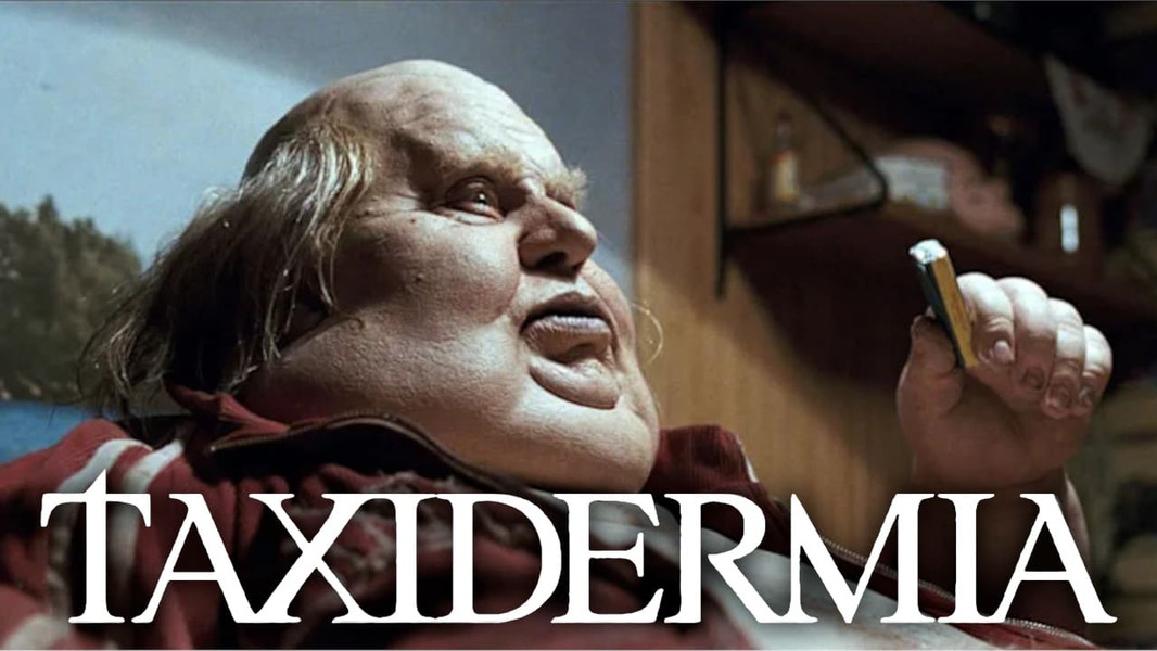 Taxidermia
