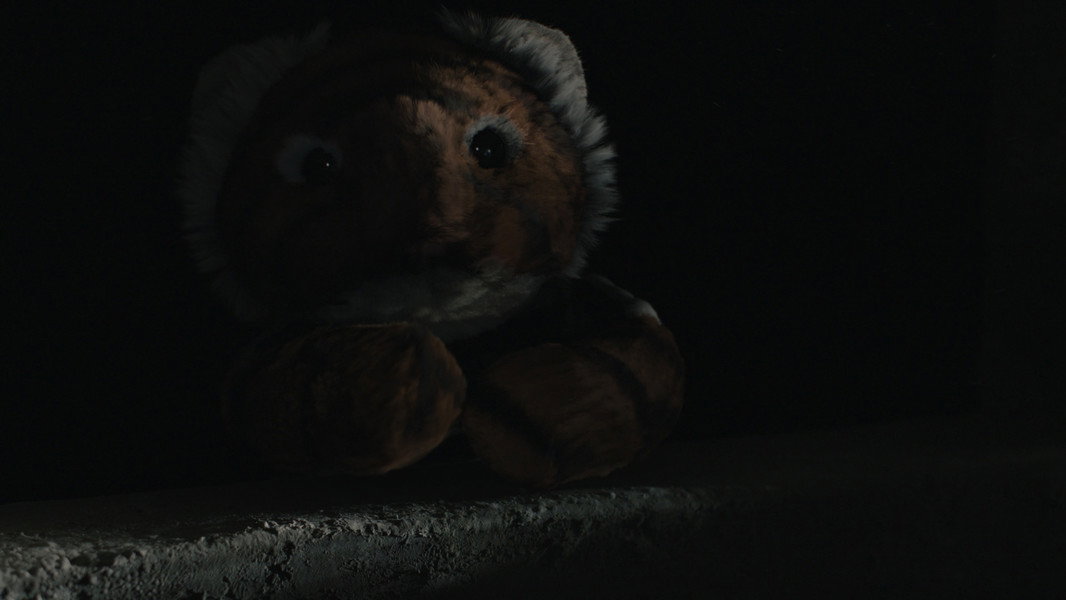 Tigers Are Not Afraid