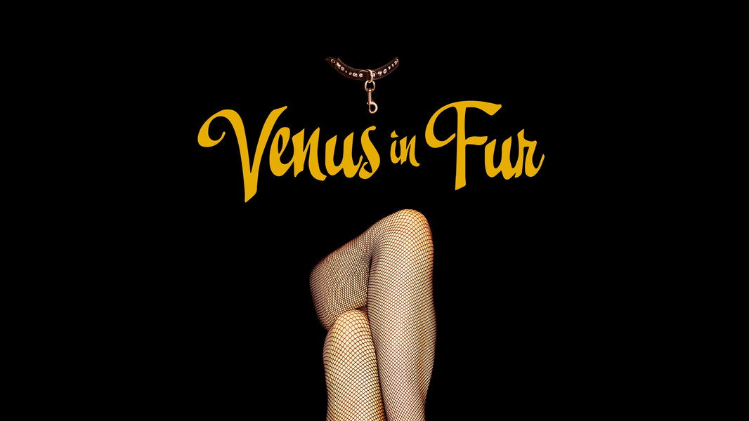 Venus in Fur