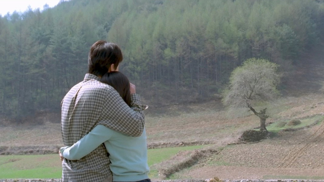 One Fine Spring Day