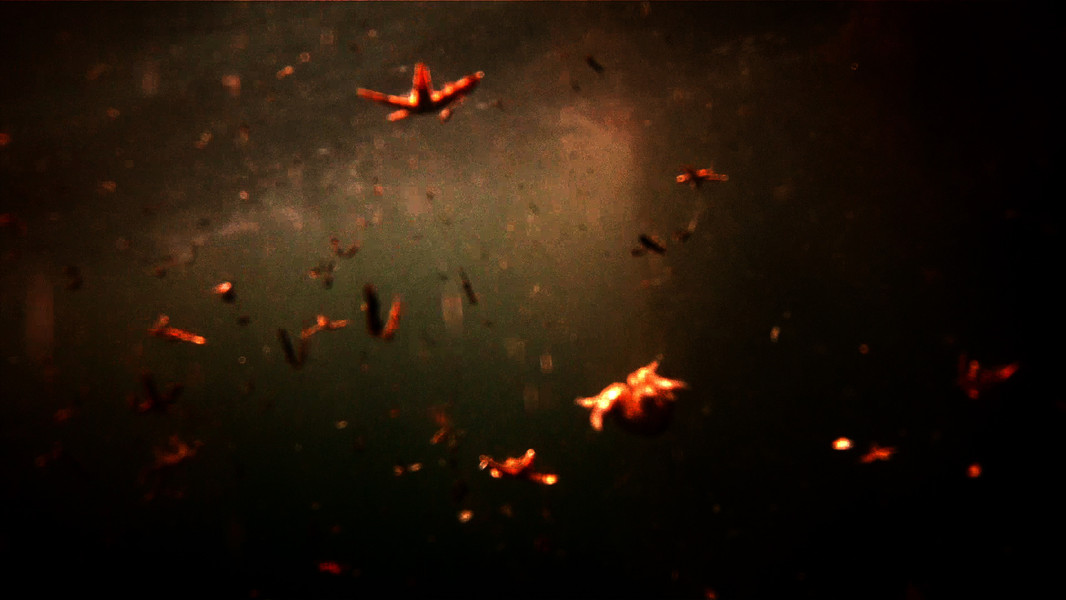 Leviathan
