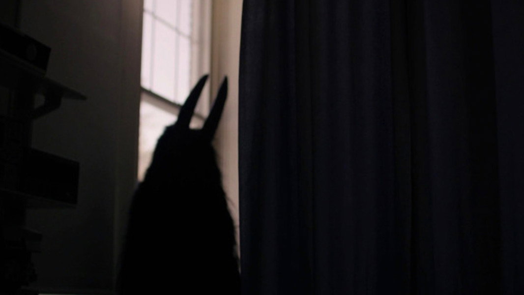 The Blackcoat's Daughter