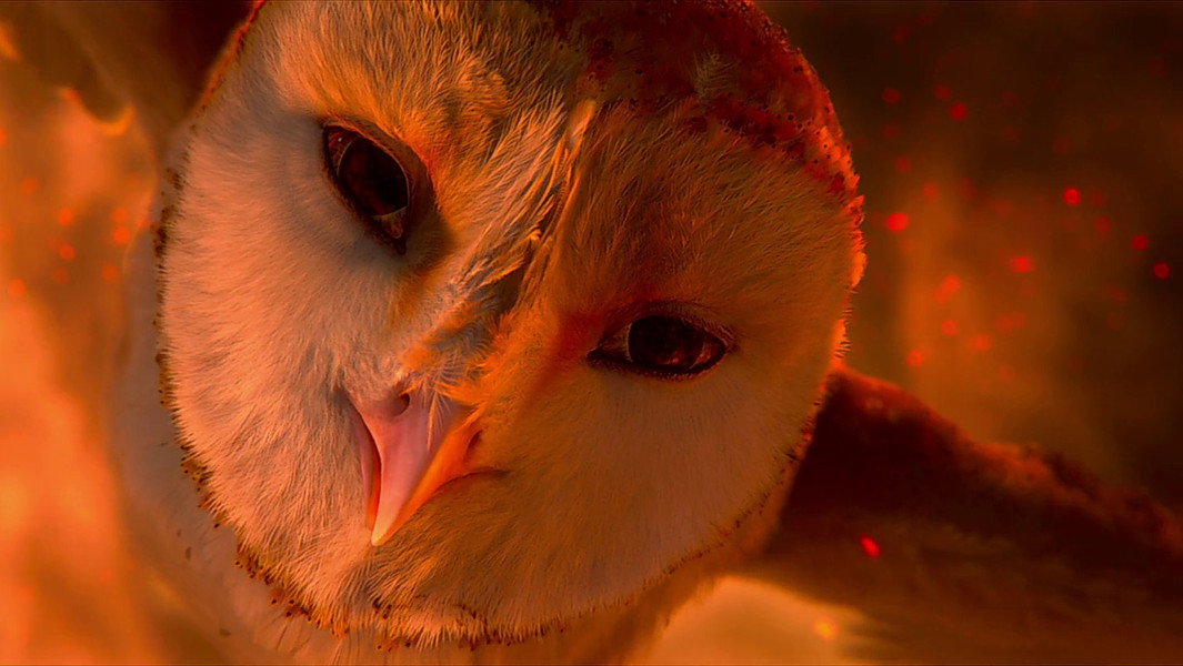 Legend of the Guardians: The Owls of Ga'Hoole