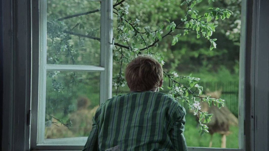 The Birch Wood