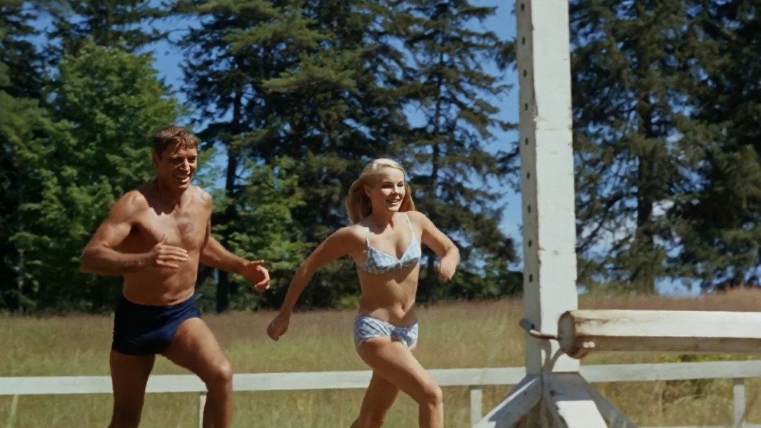 The Swimmer