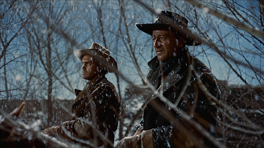 The Searchers